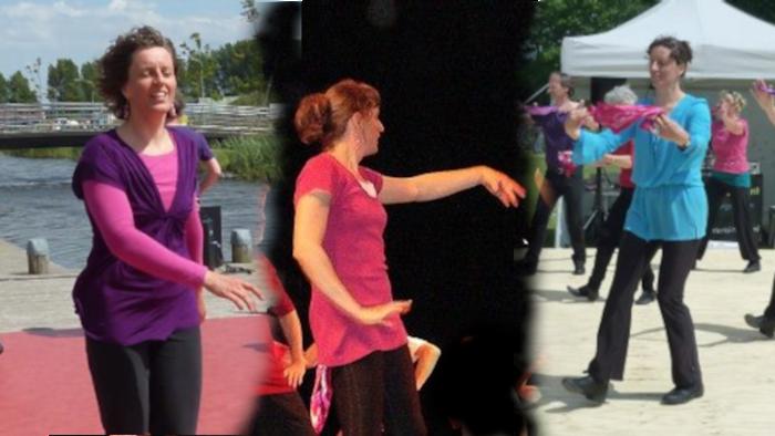 Org: Dansplezier met Elske & Leo banner