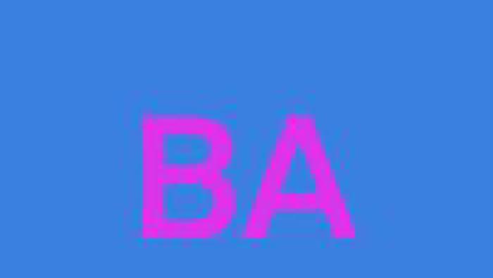 Org: Bal Auvergnat banner