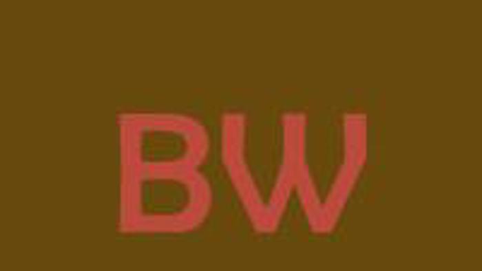 Org: Budweis-Wunderlich banner