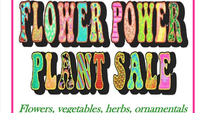 Event: Flower Power banner