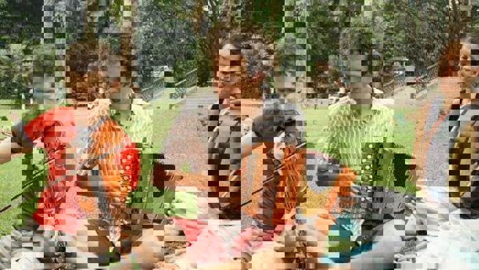 Org: Anderling banner