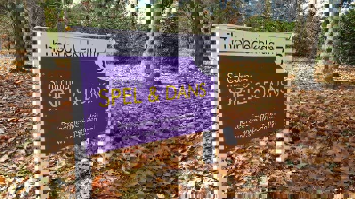 Org: Stichting Spel en Dans banner