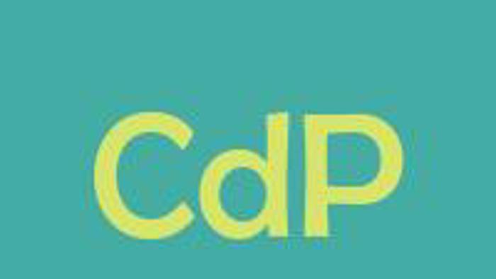 Org: Celina da Piedade banner