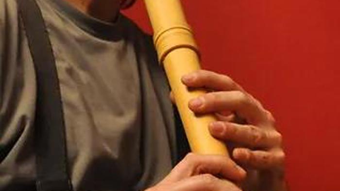 Org: Amorroma banner