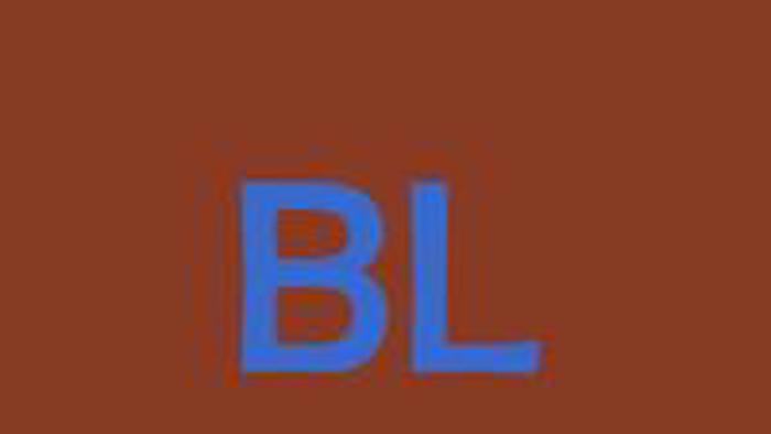 Org: Busy Lizzie banner