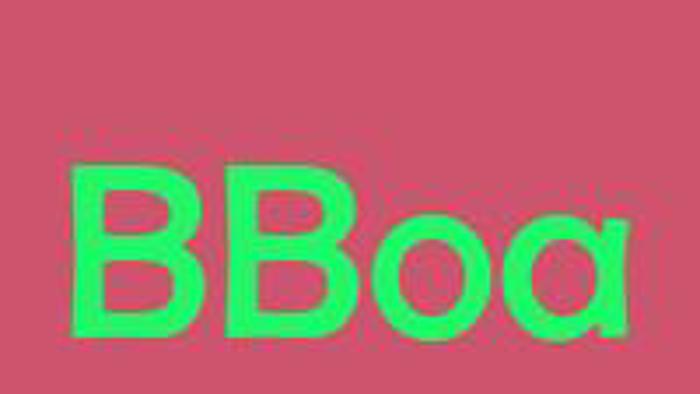 Org: B-Boa banner