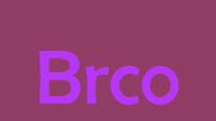 Org: B'rbicacho banner